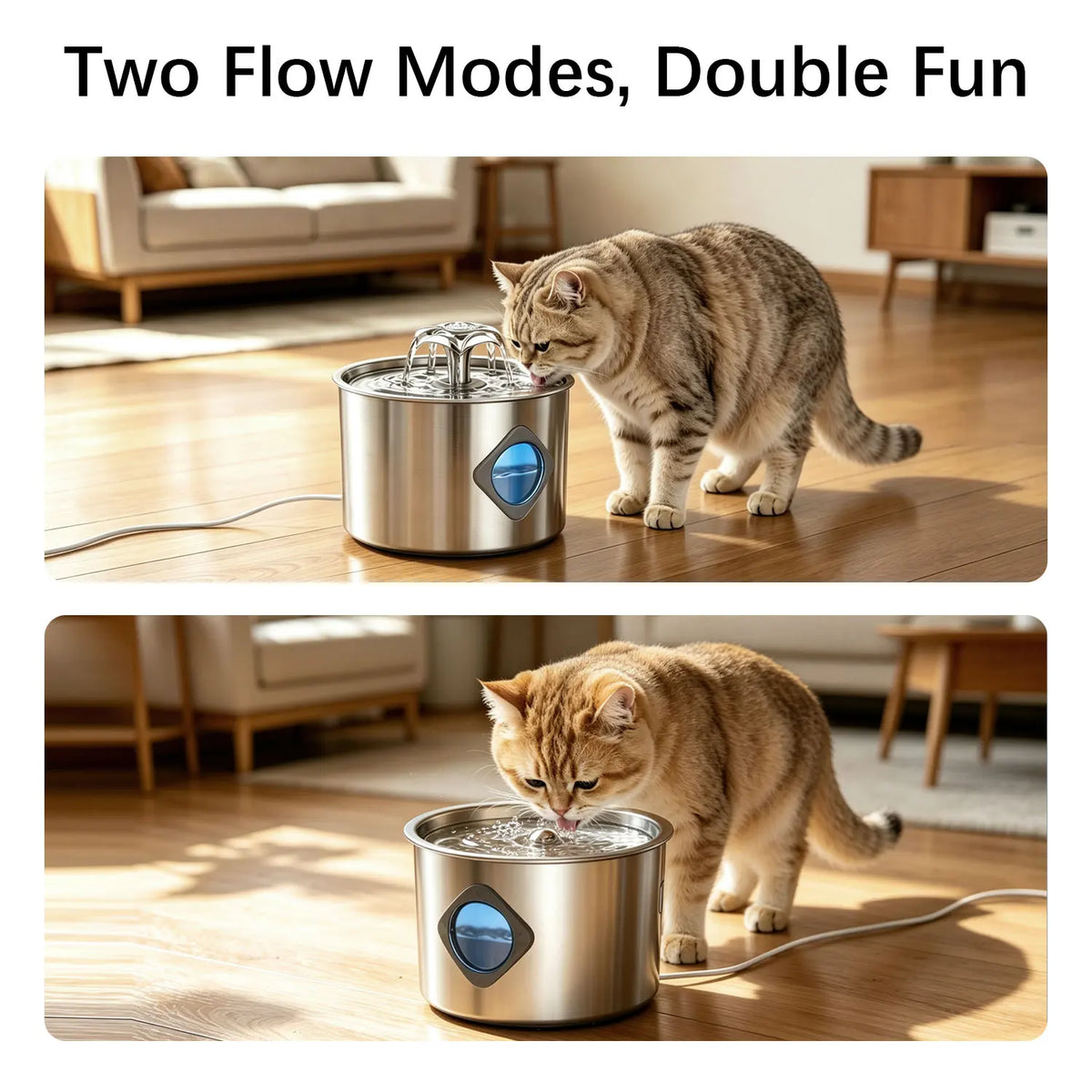 Stainless Steel Cat Water Fountain - 2.2L/74Oz Cat Drinking Fountain Quiet Cat Fountain for Indoor Cats and Small Dogs, Automatic Pet Water Dispenser Keeps Fresh Water