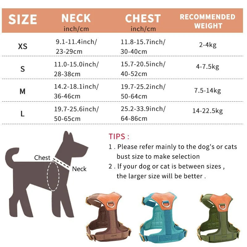 Dog Harness Custom Dog Name Tag Proof Genuine Leather Dog Harness Leash Small Medium Large Breeds Outdoor Walking