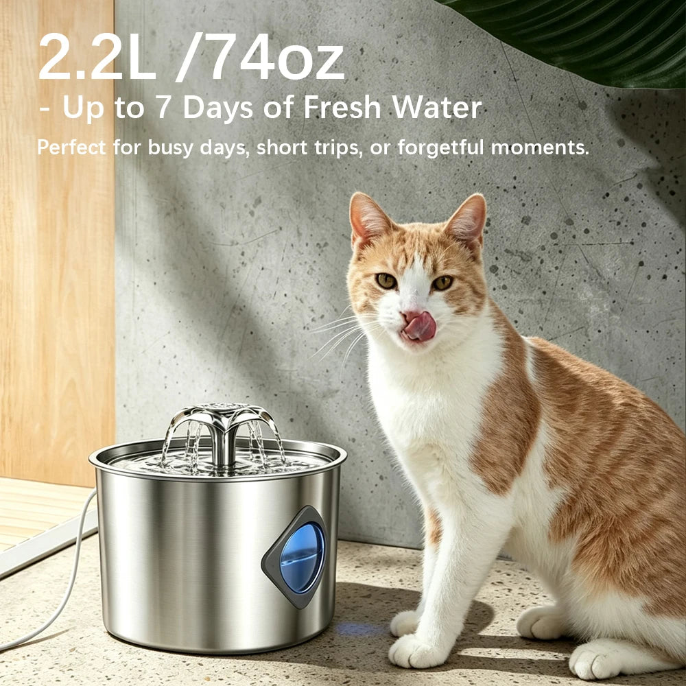 Stainless Steel Cat Water Fountain - 2.2L/74Oz Cat Drinking Fountain Quiet Cat Fountain for Indoor Cats and Small Dogs, Automatic Pet Water Dispenser Keeps Fresh Water