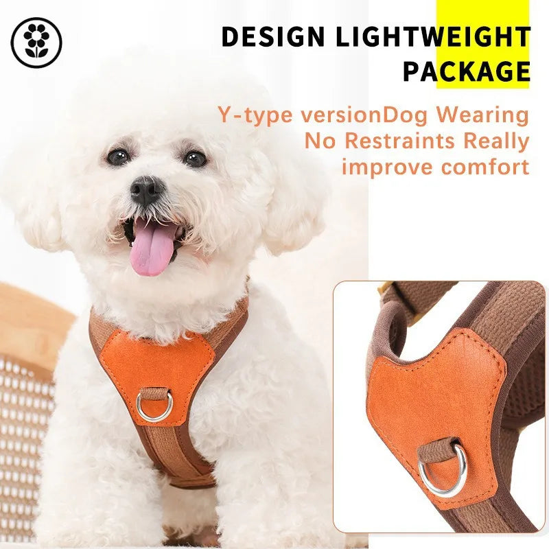 Dog Harness Custom Dog Name Tag Proof Genuine Leather Dog Harness Leash Small Medium Large Breeds Outdoor Walking